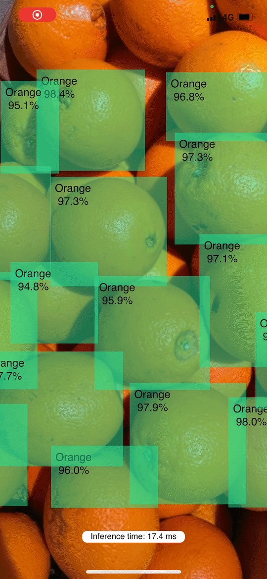 YOLOv5 iOS Object Detector